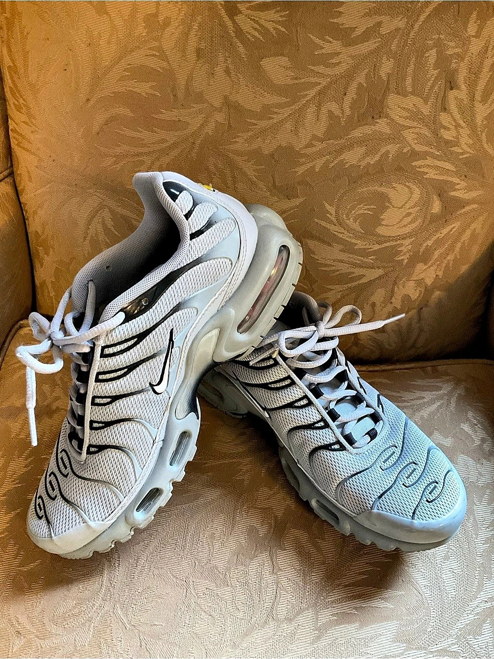 Nike Air Max Plus White & Gray Sneakers